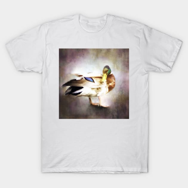 Mallard Duck T-Shirt by JimDeFazioPhotography